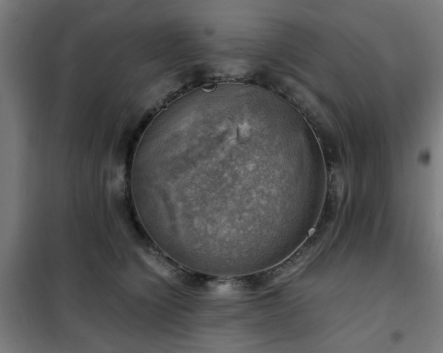 X0000102010564200807251311