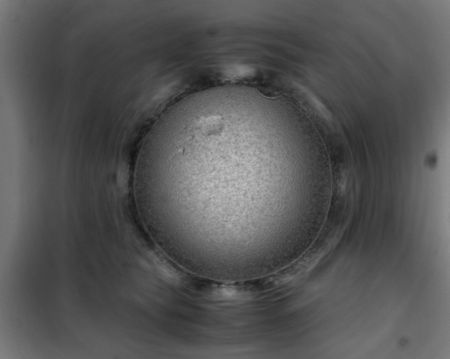 X0000102010565200807251311