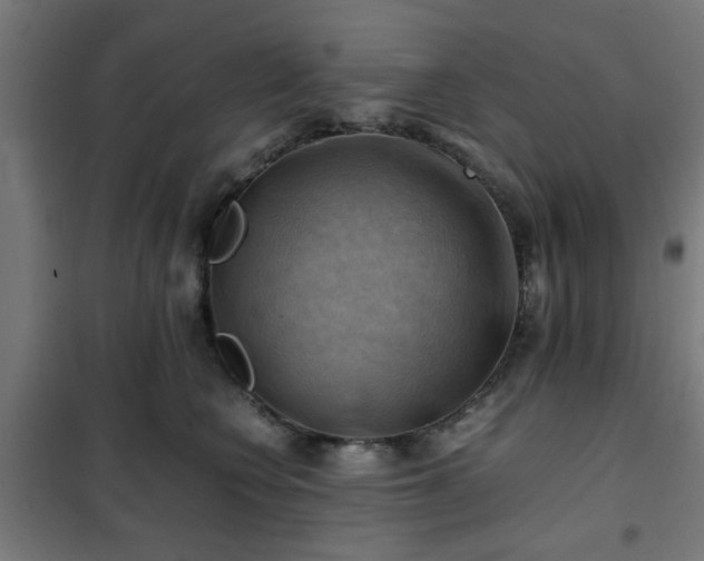 X0000102010566200807251311