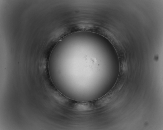 X0000102010567200807251311