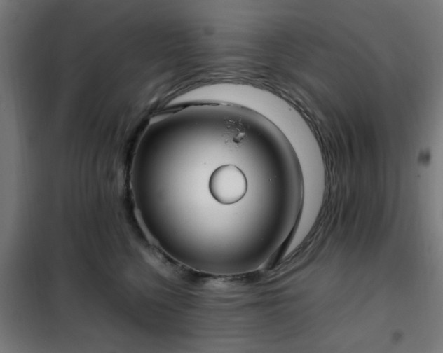 X0000102010568200807251311