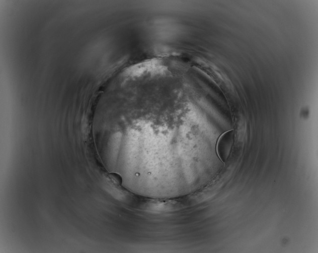 X0000102010569200807251311