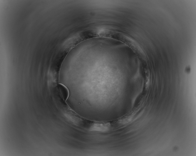 X0000102010571200807251311