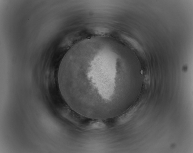 X0000102010572200807251311