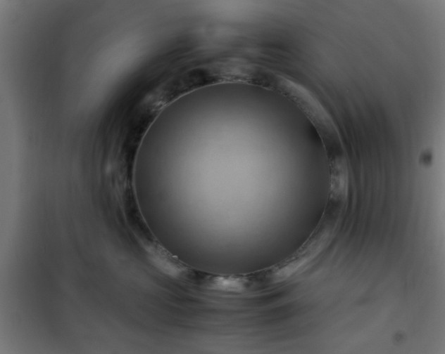X0000102010573200807251311