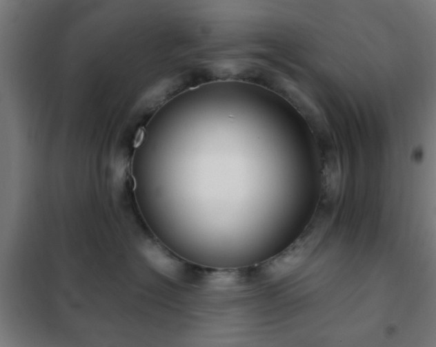 X0000102010574200807251312