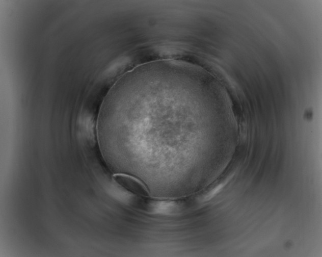 X0000102010575200807251312