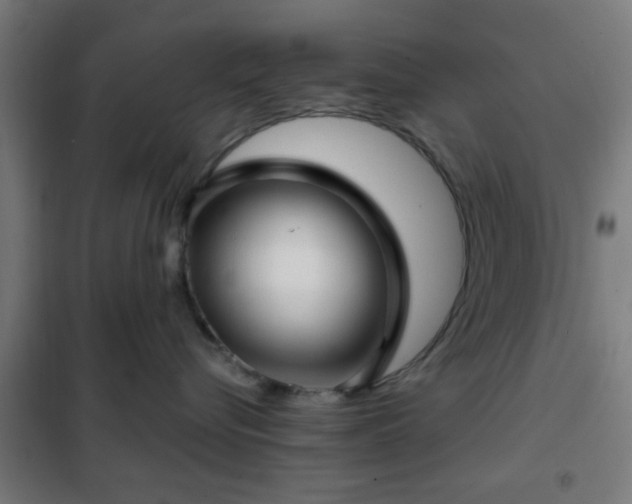 X0000102010576200807251312