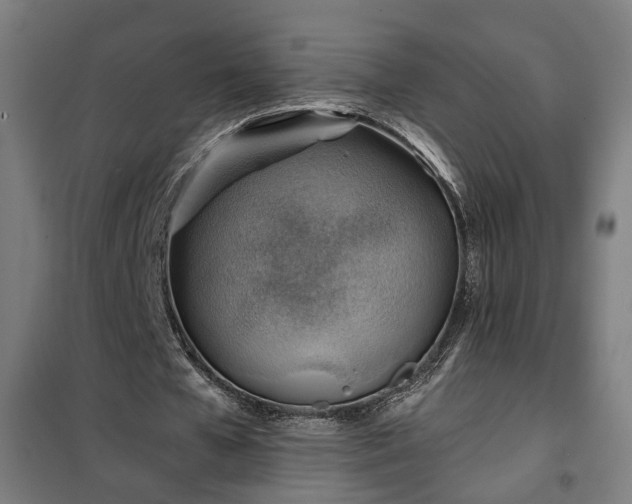 X0000102010577200807251311