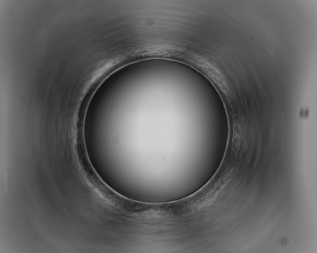 X0000102010578200807251311