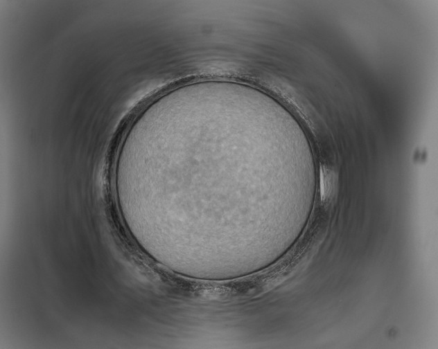 X0000102010579200807251311