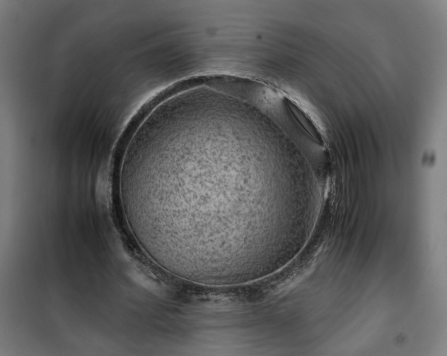 X0000102010580200807251311