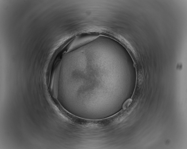 X0000102010581200807251311