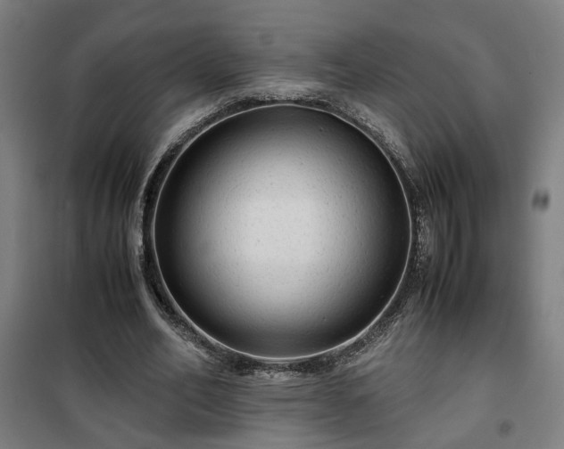 X0000102010582200807251311