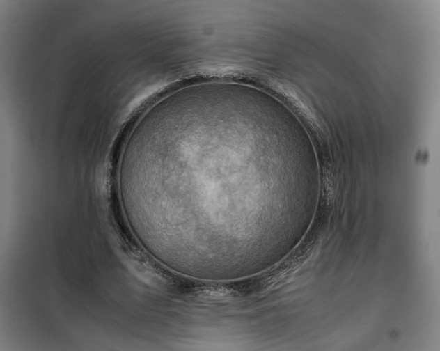 X0000102010583200807251311