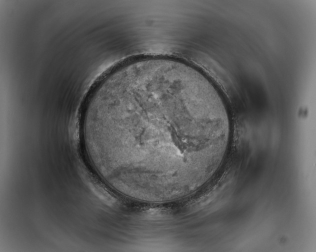 X0000102010584200807251311