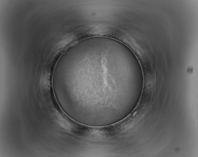 X0000102010585200807251311