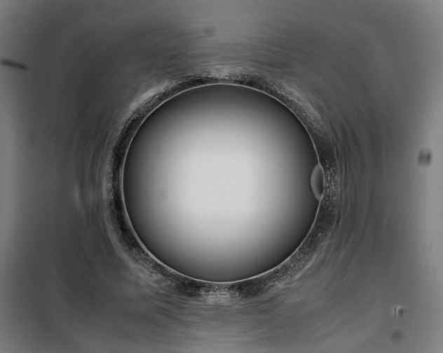 X0000102010587200807251311