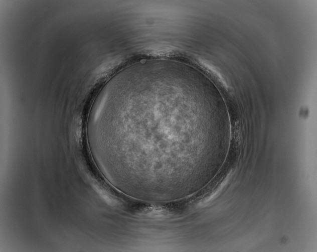 X0000102010589200807251311