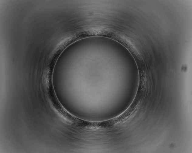X0000102010590200807251311