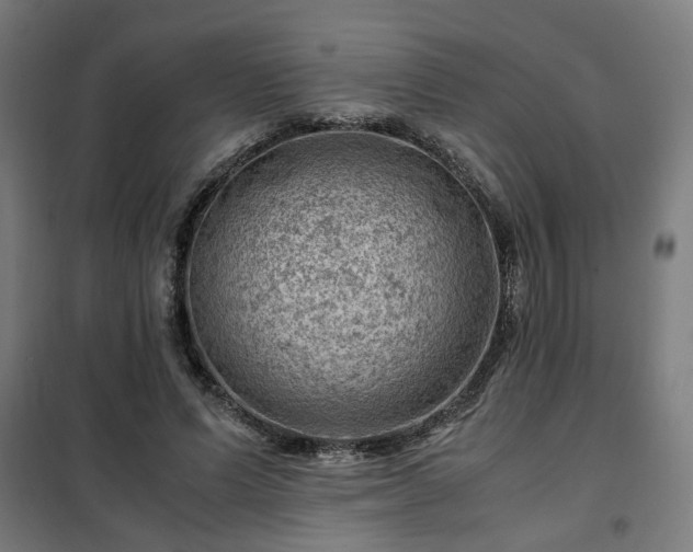X0000102010591200807251311