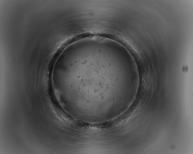 X0000102010592200807251310