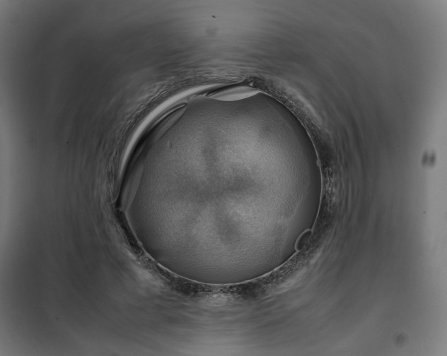 X0000102010593200807251310