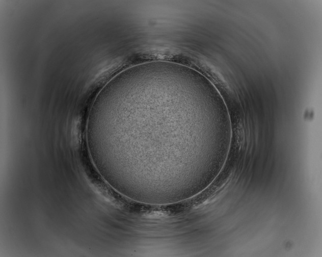 X0000102010594200807251310