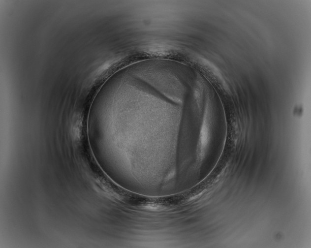 X0000102010596200807251310