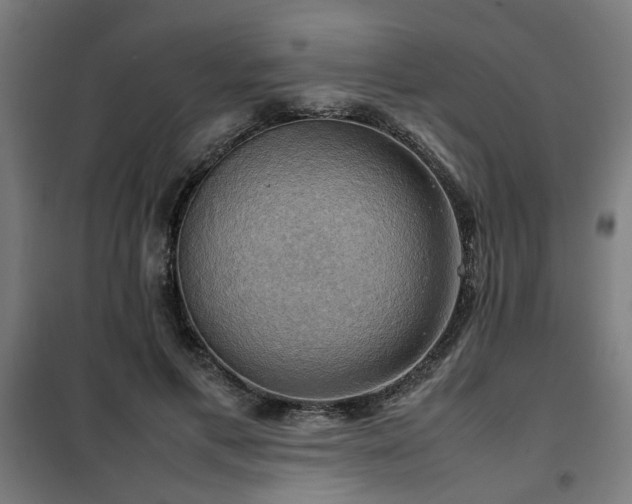 X0000102010597200807251310