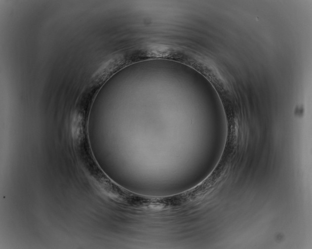 X0000102010598200807251310
