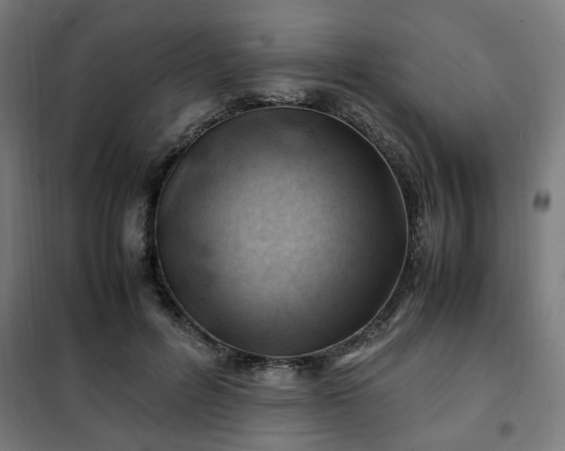 X0000102010600200807251310
