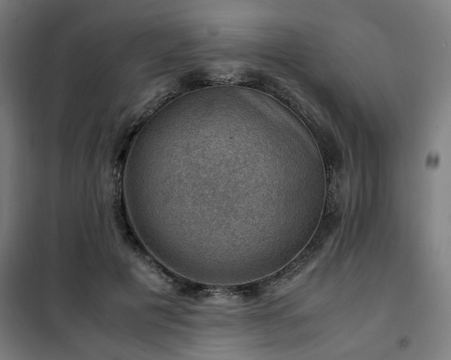 X0000102010601200807251310