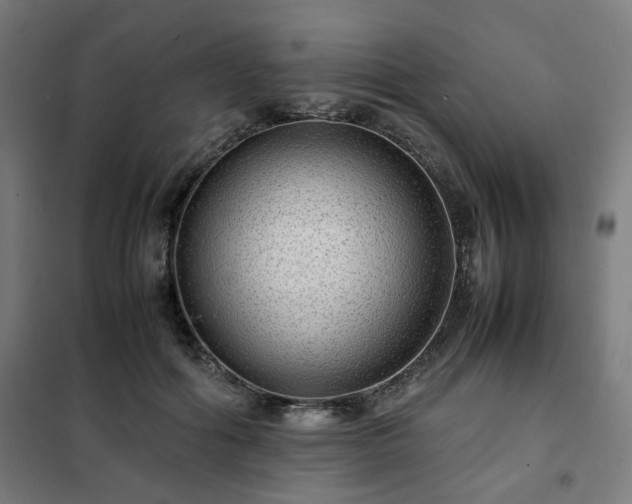 X0000102010602200807251310