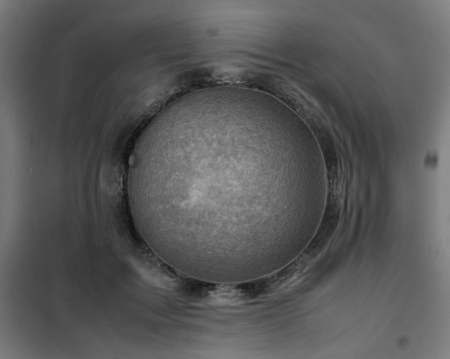 X0000102010603200807251310