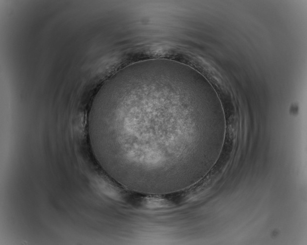 X0000102010605200807251310