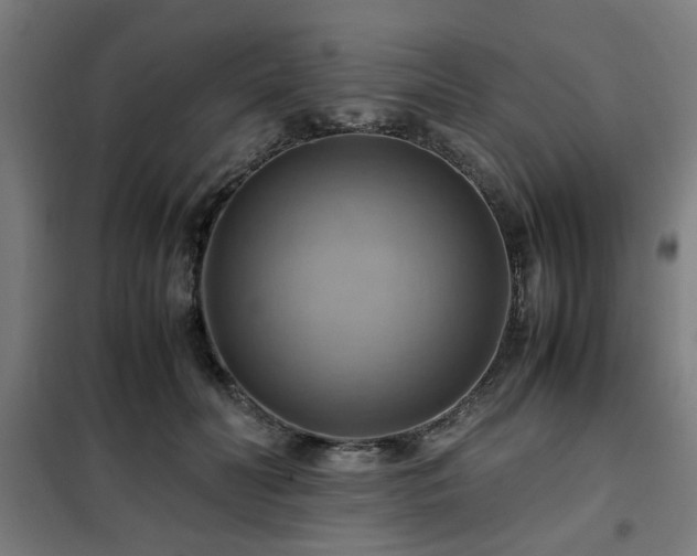 X0000102010606200807251310