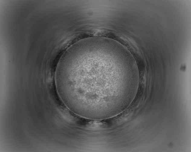 X0000102010607200807251310
