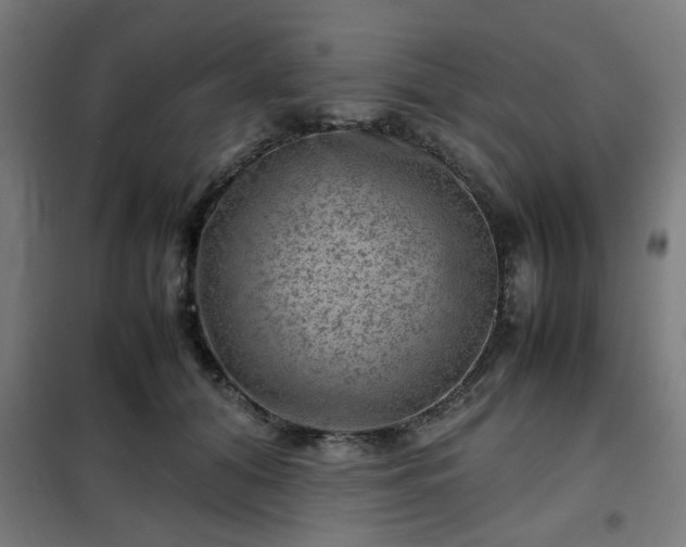 X0000102010608200807251310