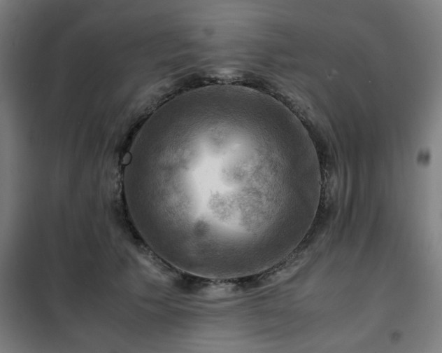 X0000102010609200807251310