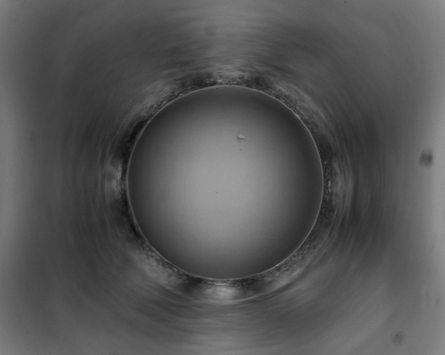 X0000102010610200807251310