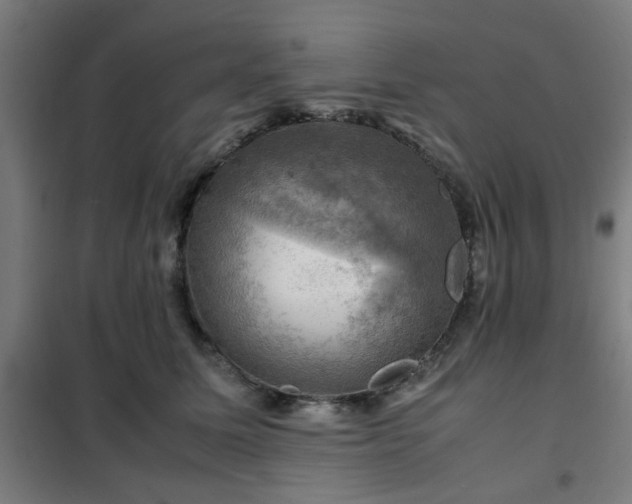 X0000102010611200807251310
