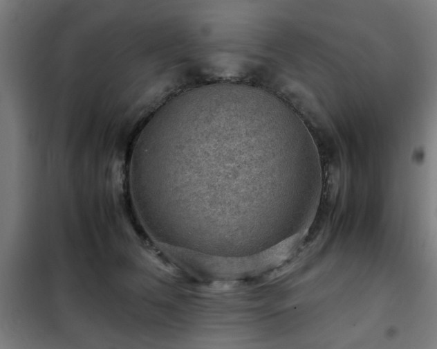 X0000102010612200807251310