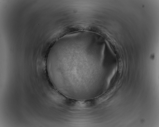 X0000102010613200807251310