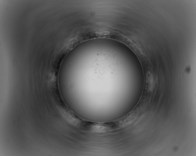 X0000102010614200807251310