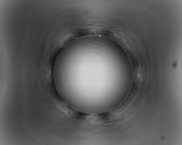 X0000102010615200807251310