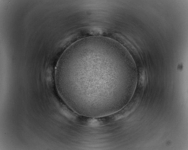 X0000102010616200807251310