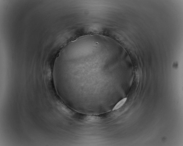 X0000102010617200807251310