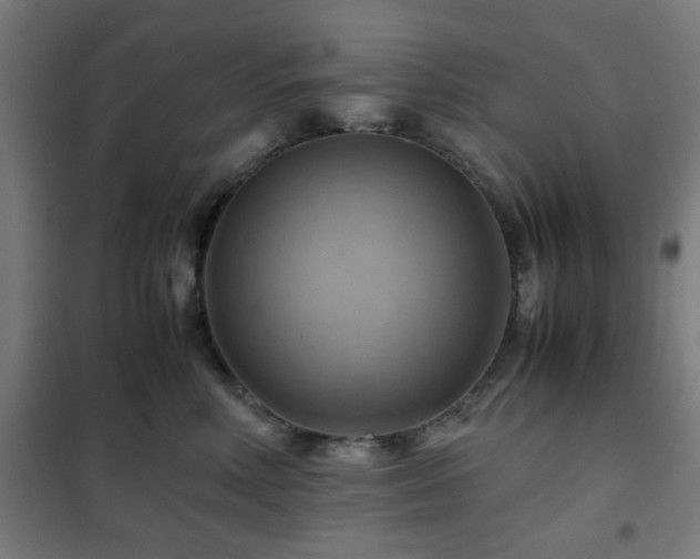 X0000102010618200807251310