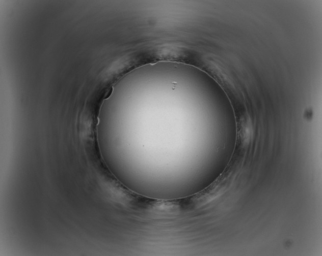 X0000102010619200807251310